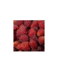Framboisier Magnific Delbard®
