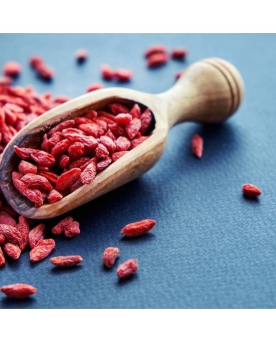 Goji 'Gojidelys'
