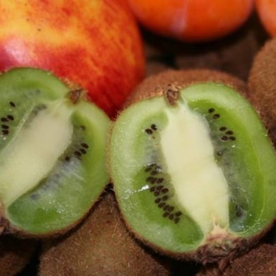 Kiwi autofertile 'Solissimo'