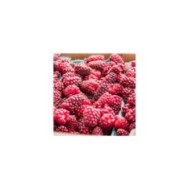Mûrier-framboise Medana® Tayberry