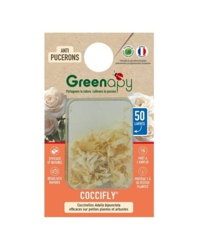 Coccifly coccinelles anti-pucerons pour petites plantes et arbustes BIOTOP - 50 larves
