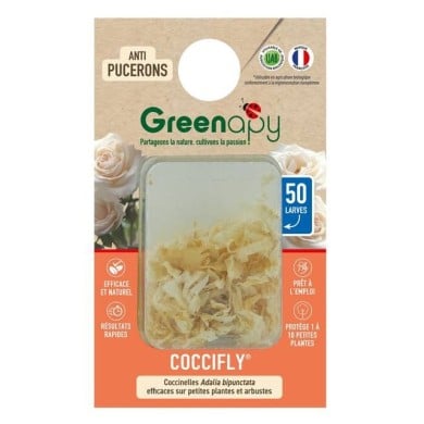 Coccifly coccinelles anti-pucerons pour petites plantes et arbustes BIOTOP - 50 larves