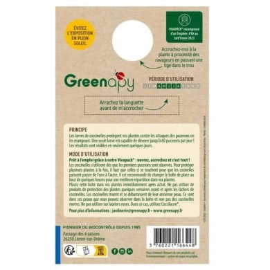 Coccifly coccinelles anti-pucerons pour petites plantes et arbustes BIOTOP - 50 larves