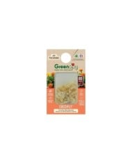 Coccifly coccinelles anti-pucerons pour petites plantes et arbustes BIOTOP - 80 larves