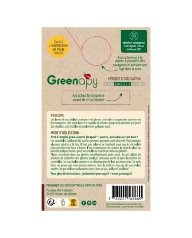 Coccifly coccinelles anti-pucerons pour petites plantes et arbustes BIOTOP - 80 larves