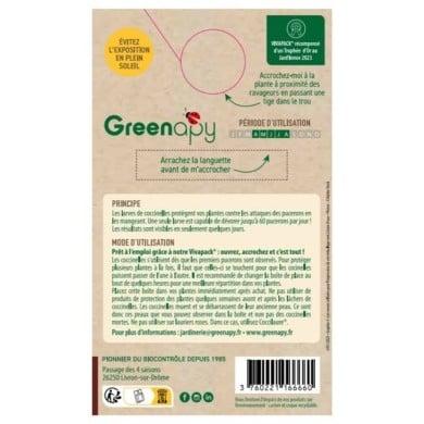 Coccifly coccinelles anti-pucerons pour petites plantes et arbustes BIOTOP - 80 larves