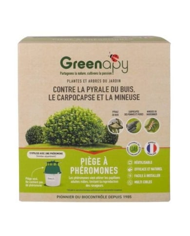 Piège à Papillons type Entonnoir