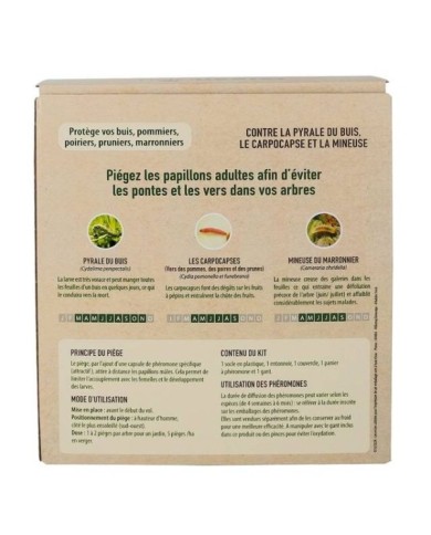 Piège à Papillons type Entonnoir
