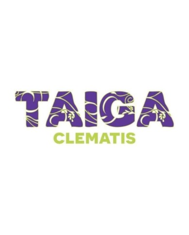 Clématite Taïga (D.R Travers)