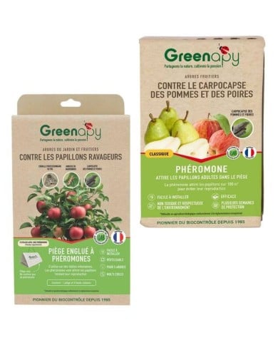 Kit contre le carpocapse des pommes et poires - Petit jardin