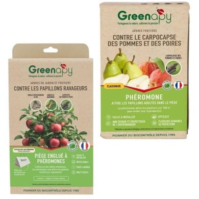 Kit contre le carpocapse des pommes et poires - Petit jardin