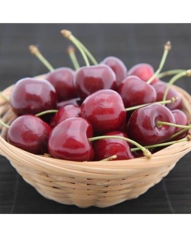 Cerises bigarreau 'Reverchon' (B.Grateful / Adobe Stock)