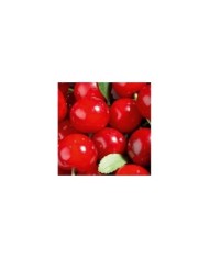 Cerisier nain 'Griotella' - fruits