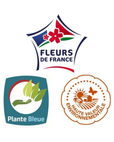 Plantes produites par une pépinière responsable