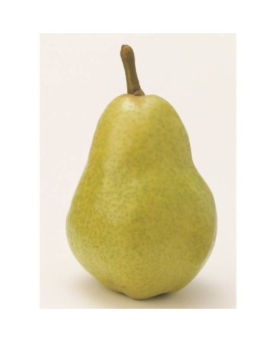 Poire Bon Chrétien William's - Flickr Apple and Pear Australia Ltd
