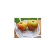 Pommes 'Reine des reinettes'