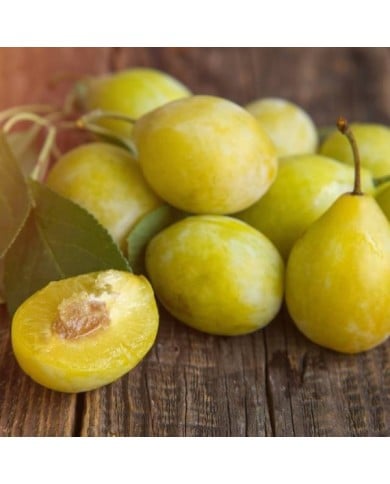Prunes 'Goldust' (Photo non contractuelle / Adobe stock)