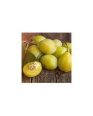 Prunes 'Goldust' (Photo non contractuelle / Adobe stock)