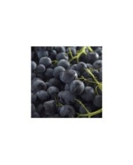 Raisin Aladin&reg; (D.R.)