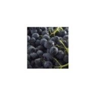 Raisin Aladin&reg; (D.R.)