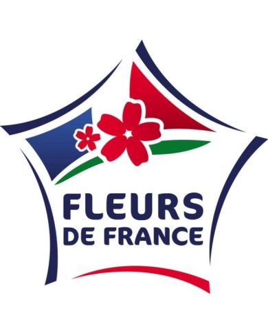 Logo Fleur de France