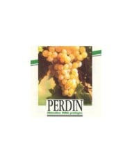 Vigne Ampelia 'Perdin'