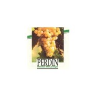 Vigne Ampelia 'Perdin'