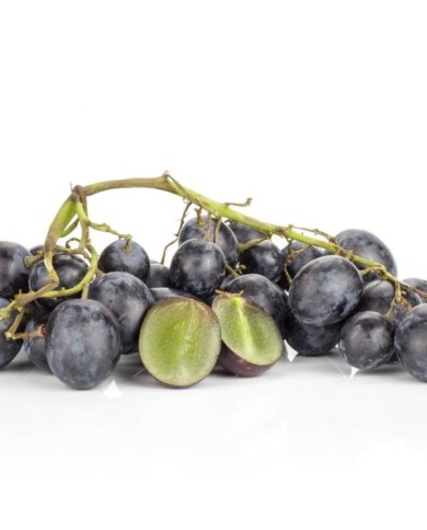 Vigne de table seedless 'Autumn Royal' (PIXbank / Adobe Stock)