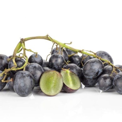 Vigne de table seedless 'Autumn Royal' (PIXbank / Adobe Stock)