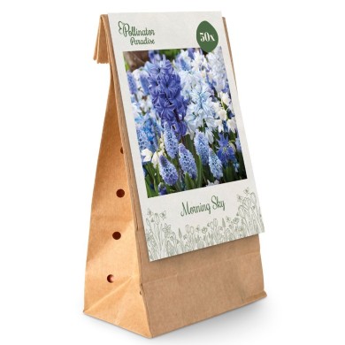 Paradis des Pollinisateurs- Ciel matinal - lot de 50 bulbes