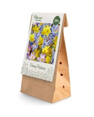 Paradis des Pollinisateurs – Route du Miel - lot de 50 bulbes