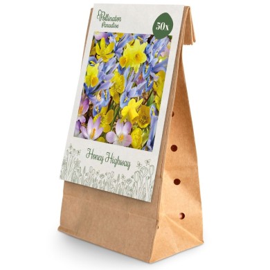 Paradis des Pollinisateurs – Route du Miel - lot de 50 bulbes
