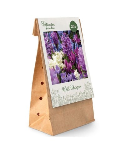 Paradis des Pollinisateurs – Murmures sauvages - lot de 50 bulbes