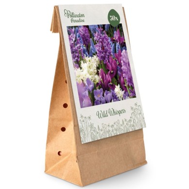 Paradis des Pollinisateurs – Murmures sauvages - lot de 50 bulbes
