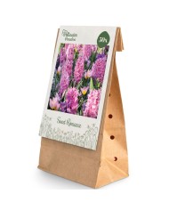 Paradis des Pollinisateurs – Douce Romance - lot de 50 bulbes