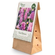 Paradis des Pollinisateurs – Douce Romance - lot de 50 bulbes