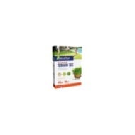 Gazon Terrain Sec 1kg