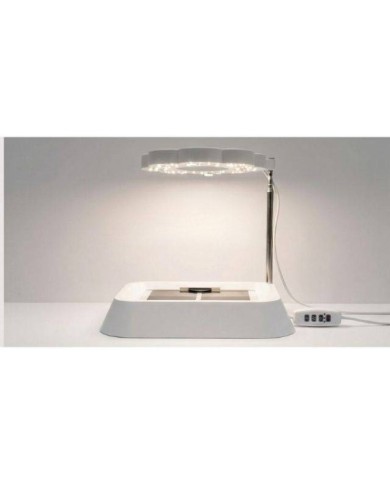 Kit de germination : base - tapis - lampe LED