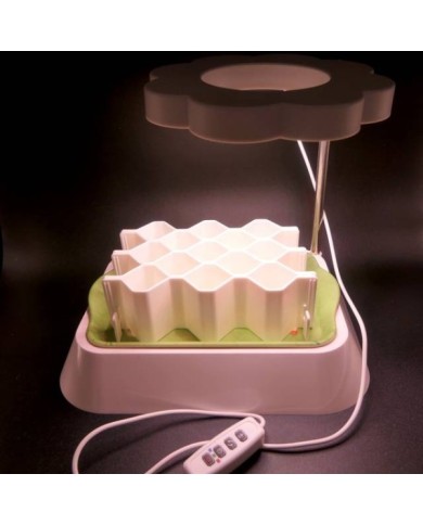 Lampe LED Germie en fonctionnement (X.G. / Gerbeaud)