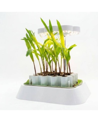 Lampe LED pour base kit germination