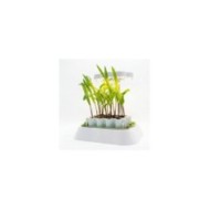 Lampe LED pour base kit germination