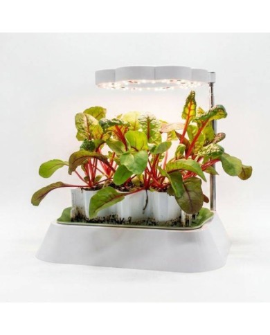 Lampe LED pour base kit germination