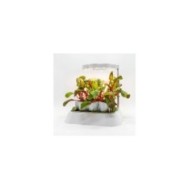 Lampe LED pour base kit germination