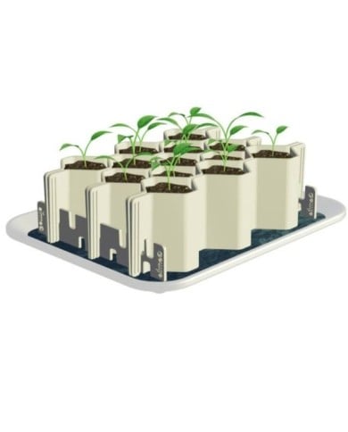 Kit de germination GERMIE - Taille L - 13 alvéoles - Kit (GERMIE)