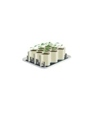 Kit de germination GERMIE - Taille L - 13 alvéoles - Kit (GERMIE)