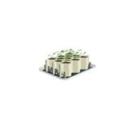 Kit de germination GERMIE - Taille L - 13 alvéoles - Kit (GERMIE)