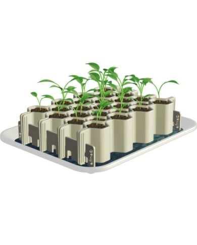 Kit de germination GERMIE - Taille M - 25 alvéoles - Kit (GERMIE)