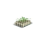 Kit de germination GERMIE - Taille M - 25 alvéoles - Kit (GERMIE)