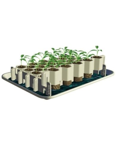 Kit de germination GERMIE - Taille S - 41 alvéoles - Kit (GERMIE)