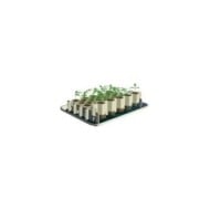 Kit de germination GERMIE - Taille S - 41 alvéoles - Kit (GERMIE)